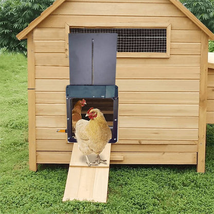 Automatic chicken coop door - waterproof and user-friendly