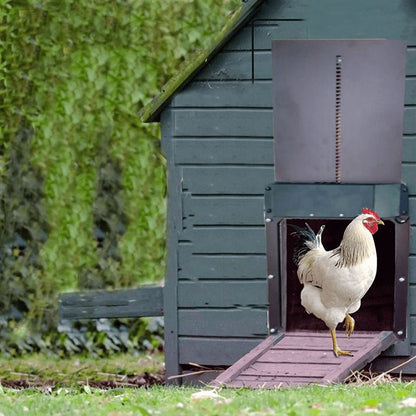 Automatic chicken coop door - waterproof and user-friendly