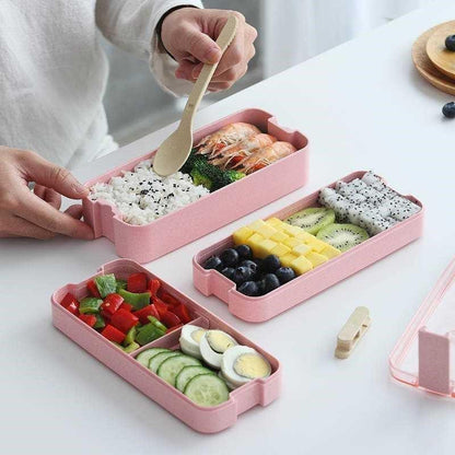 Organic lunch box - environmentally friendly &amp; practical