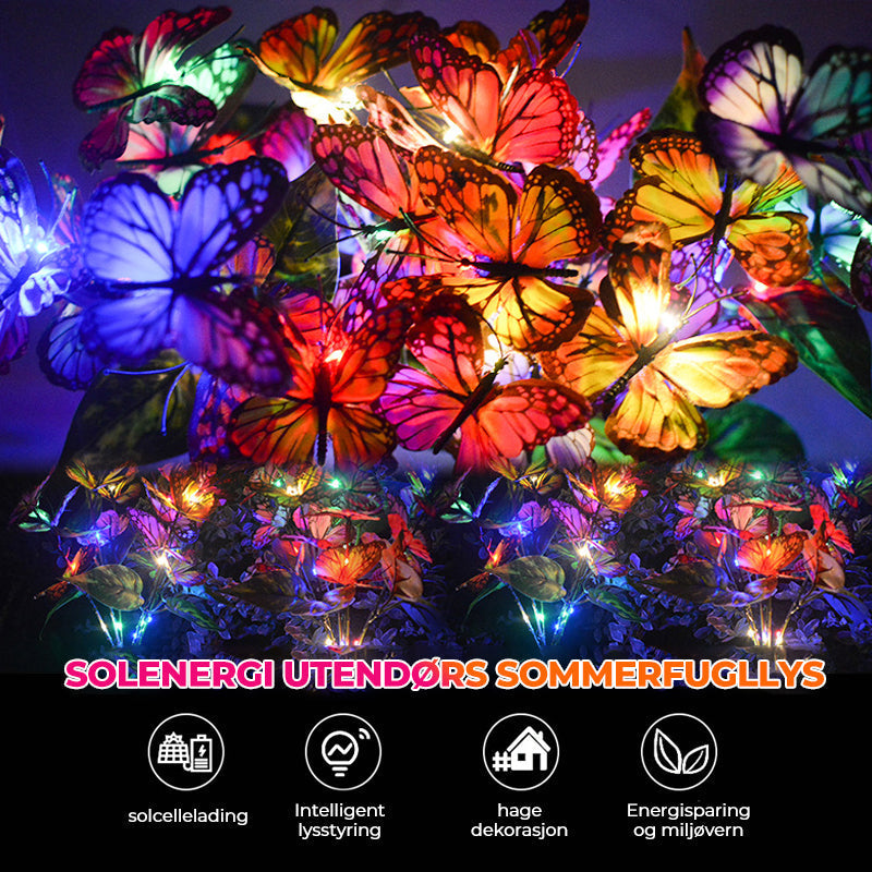 Solar powered butterfly garden lights - outdoor lighting