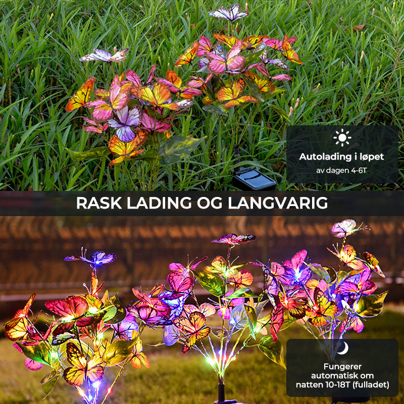 Solar powered butterfly garden lights - outdoor lighting