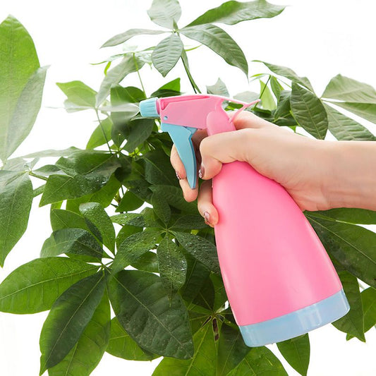 Spray bottle for plants