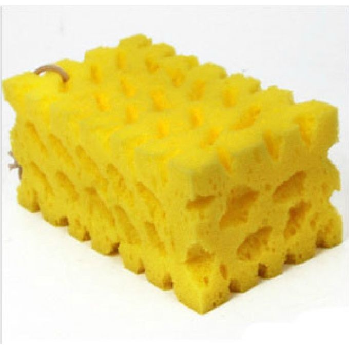 Large absorbent sponge for efficient cleaning