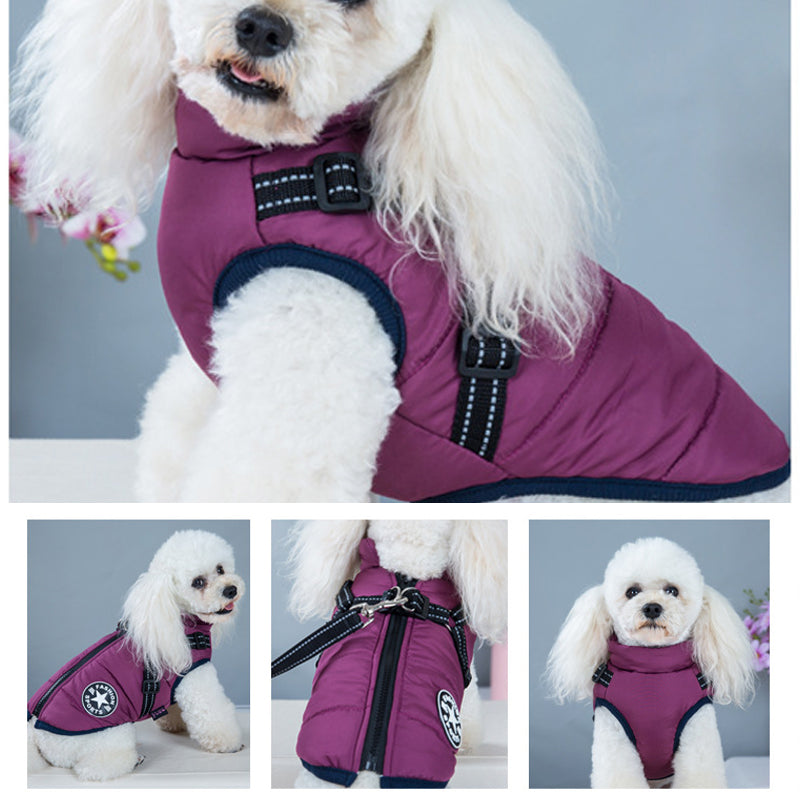 Waterproof winter jacket for dogs with a harness