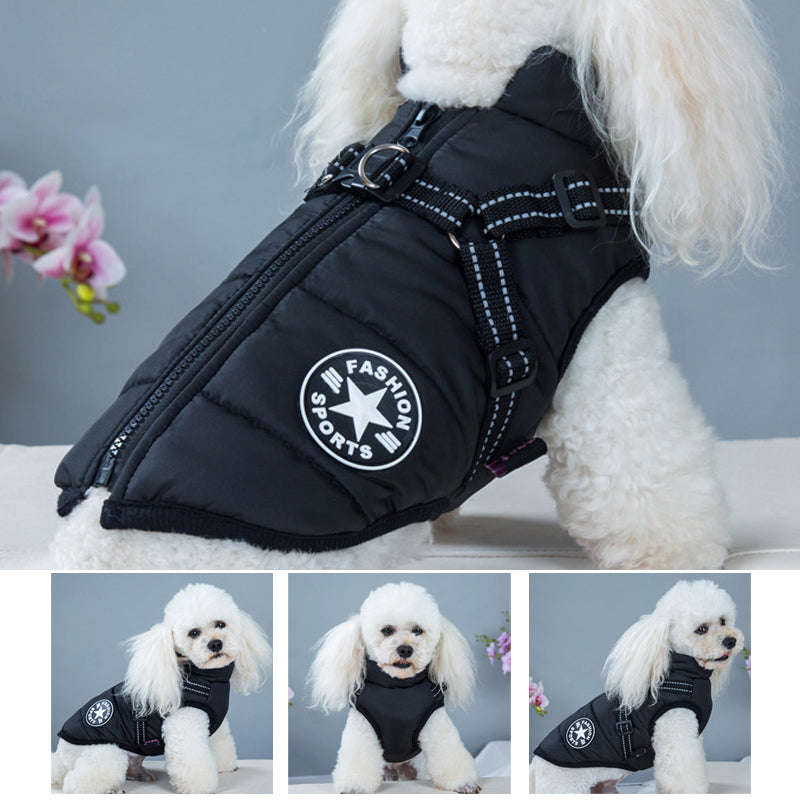 Waterproof winter jacket for dogs with a harness