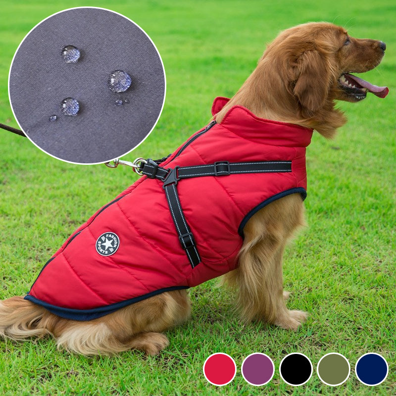 Waterproof winter jacket for dogs with a harness